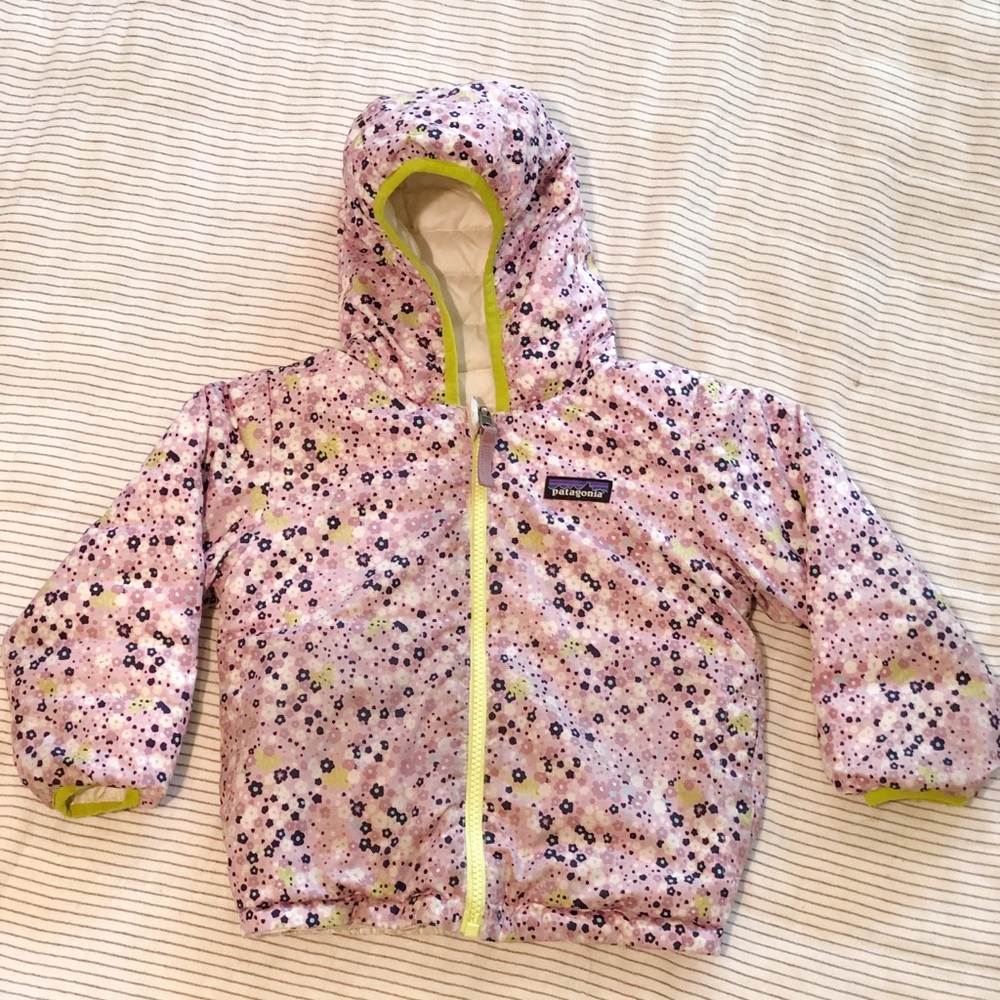 Patagonia Reversible Down Sweater Hoody